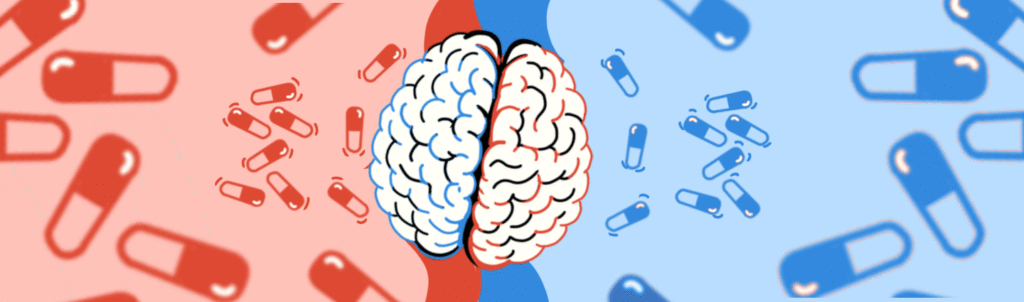 NeuroScience BJJ & The Brain